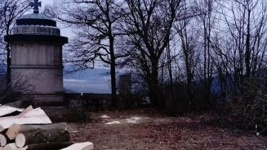 Alte und gesunde Bäume, die weit entfernt vom Kriegerdenkmal waren, wurden gefällt. Darüber regten sich einige Bürger auf. Foto: privat