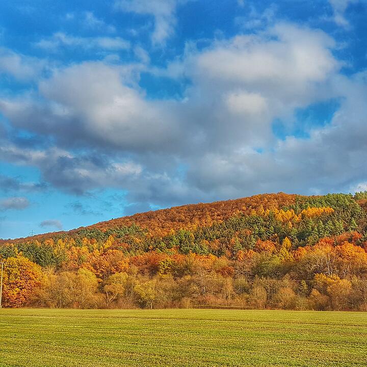 Die schönsten Fotos im November aus Bad Kissingen und Umgebung
