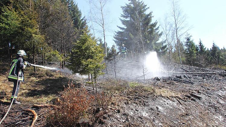 Die Wehrleute bekämpften den Brand.  Foto: Friedwald Schedel