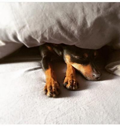 Foto: Natalie Nuri