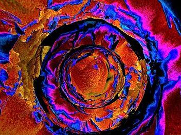 "Self-Esteem" heißt dieses Bild. Foto: Carmen Schwind