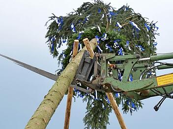 Traditionelle Methoden werden beim Plobaum-Aufstellen in Wollbach angewandt. Man erlaubt sich aber, ein wenig mit der Technik nachzuhelfen. Fotos: Björn Hein
