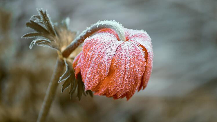 Wetter in Franken: Erster Frost gemeldet