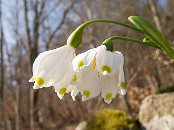 Der M&auml;rz 2018 war im Vergleich mit den Vorjahren sehr kalt. Die Temperaturwerte lagen unter dem Durchschnitt. Symbolfoto: Andrea Warnecke/dpa-