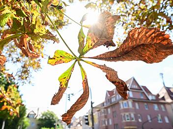 Das Wetter in Franken: Für Mittwoch waren zunächst 35 Grad prognostiziert - bleibt die große Hitze jetzt doch aus?
