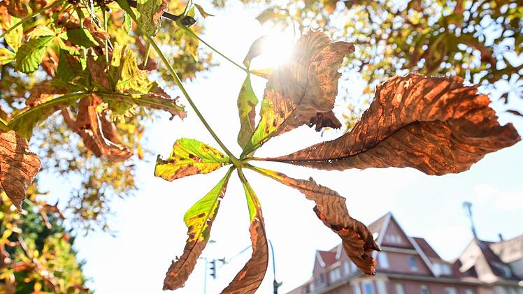 Das Wetter in Franken: Für Mittwoch waren zunächst 35 Grad prognostiziert - bleibt die große Hitze jetzt doch aus?