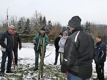 Verschiedene Baumformen wurden beim Winterschnittkurs des Obst- und Gartenbauvereins Ebern mit Edgar Brohm in einem Privatgarten unter die Lupe genommen. Foto: privat