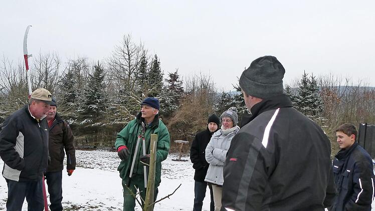 Verschiedene Baumformen wurden beim Winterschnittkurs des Obst- und Gartenbauvereins Ebern mit Edgar Brohm in einem Privatgarten unter die Lupe genommen. Foto: privat