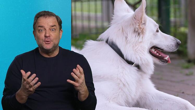 Martin Rütter sucht ein neues Zuhause für den körperlich eingeschränkten Chapo.