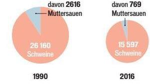 Die Entwicklung der Schweinehaltung im Kreis Lichtenfels. Grafik: Micho Haller