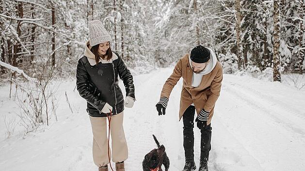 Thüringer Wald - Thüringens meist besuchte Gebirgskette   