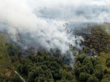 Waldbrand im Hohen Venn
