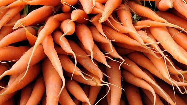 Symbolbild: Ingo Wagner dpa