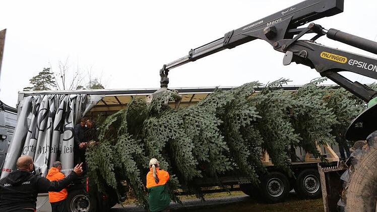 Der Baum wird in den Lkw verladen. Foto: Barbara Herbst