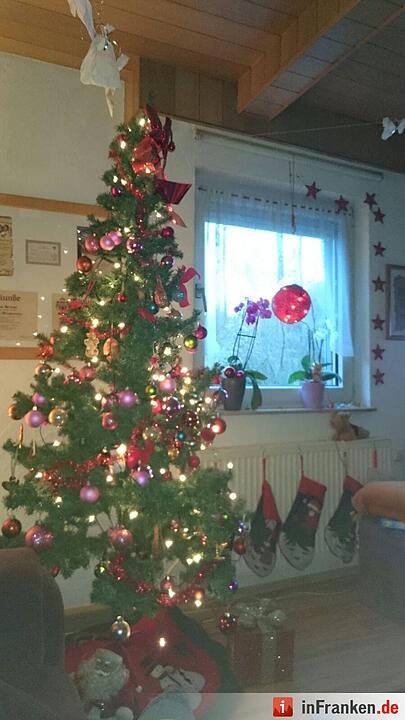 Weihnachten in Franken: Die Christbäume unserer Leser