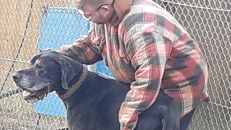 Tierheim Kronach mit Appell: Hund Jasha wurde abgegeben - "können uns sein Futter nicht mehr leisten"
