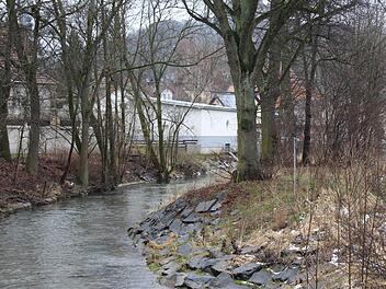 Rechts ist das Ufer der Lauter schon erneuert. Sogar Bäume konnten stehen bleiben, weil die Schutzmauer dahinter am Rand des Parkplatzes verläuft.  Fotos: Simone Bastian