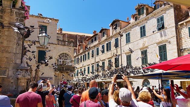 a crowd of tourists takes pictures of a flock of pigeons on the street of the old town of Dubrovnik in Croatia, medieval European architecture, eine Gruppe von Touristen fotografiert einen Taubenschwarm auf der Stra&szlig;e der Altstadt von Dubrovnik in Kroatien, mittelalterliche europ&auml;ische Architektur - Reise, Urlaub, Tourismus, Massentourismus, Overtourism, &Uuml;bertourismus