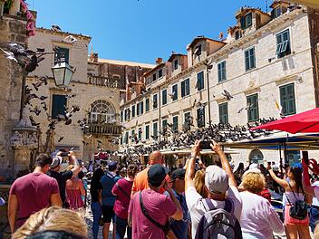 a crowd of tourists takes pictures of a flock of pigeons on the street of the old town of Dubrovnik in Croatia, medieval European architecture, eine Gruppe von Touristen fotografiert einen Taubenschwarm auf der Straße der Altstadt von Dubrovnik in Kroatien, mittelalterliche europäische Architektur - Reise, Urlaub, Tourismus, Massentourismus, Overtourism, Übertourismus