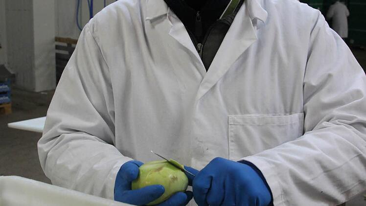 Bruno Müller schält Kohlrabi. Foto: Carmen Schmitt
