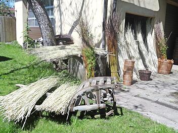 Diese strahlend weißen Weiden sind frisch geschält und daher natürlich noch feucht und weich. Rund um das Haus verteilt, trocknet das Rohmaterial für die Korbmacherei nun und wird später bis zum Verarbeiten gelagert - vor der Verarbeitung werden die Weidenruten erneut gewässert, um sie wieder biegsam zu machen.