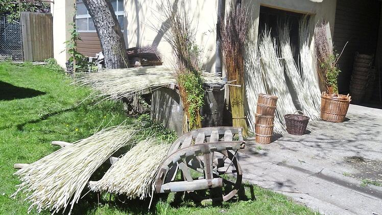 Diese strahlend weißen Weiden sind frisch geschält und daher natürlich noch feucht und weich. Rund um das Haus verteilt, trocknet das Rohmaterial für die Korbmacherei nun und wird später bis zum Verarbeiten gelagert - vor der Verarbeitung werden die Weidenruten erneut gewässert, um sie wieder biegsam zu machen.