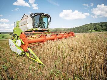 Ein Landwirt bei der Getreideernte