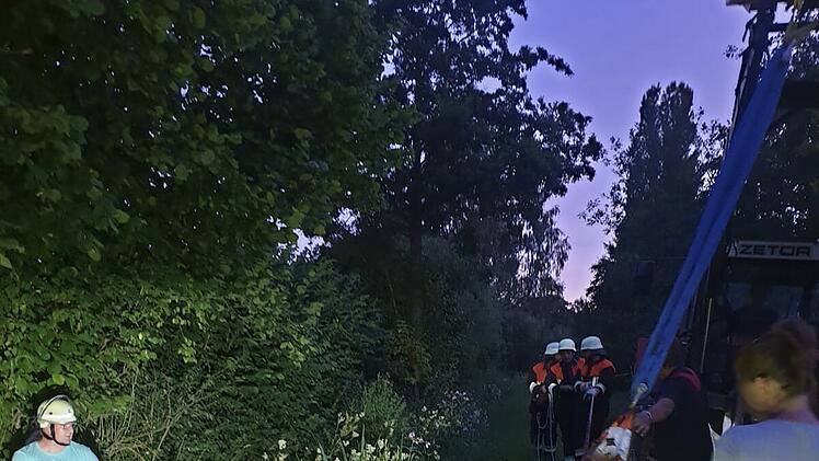 Feuerwehreinsatz Weisendorf Pferd