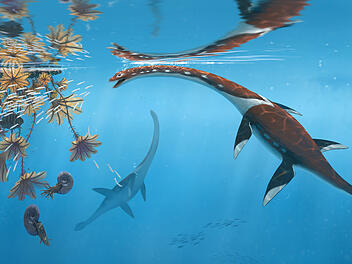 Sensationeller Fossilfund in Süddeutschland: Neues Meeresreptil aus der Dino-Zeit entdeckt