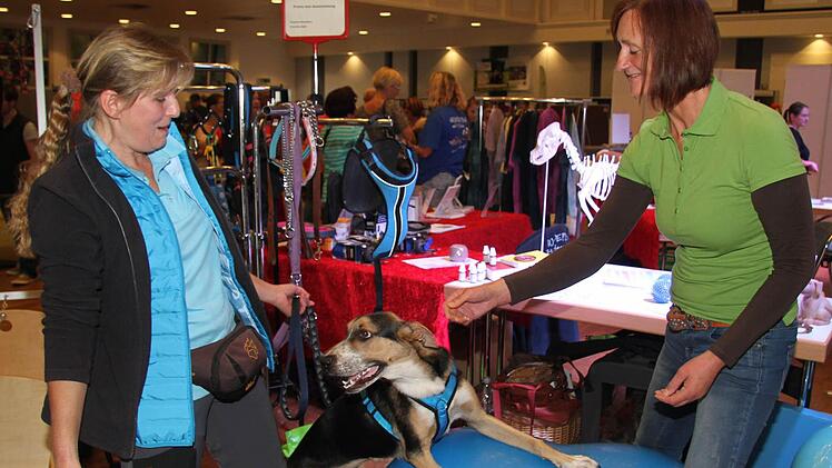 Das gibt Muskeln: die blaue Physio-Birne für Hunde. Foto: Sonny Adam