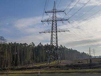 Jetzt ist es aber genug: Die Kommunalpolitiker aus dem Coburger Land haben jetzt in ihrem Kampf gegen Höchspannnungsleitungen und den damit verbundenen Kahlschlag Unterstützung bekommen: Das bayerische Kabinett hat die Trassenvarianten P 44 und P 44 mod. abgelehnt., Foto: Bernd Stöckl