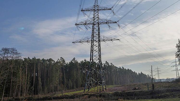 Jetzt ist es aber genug: Die Kommunalpolitiker aus dem Coburger Land haben jetzt in ihrem Kampf gegen Höchspannnungsleitungen und den damit verbundenen Kahlschlag Unterstützung bekommen: Das bayerische Kabinett hat die Trassenvarianten P 44 und P 44 mod. abgelehnt., Foto: Bernd Stöckl