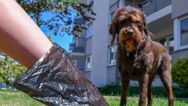 Hundekot-Beutel sollen in Bamberg kostenlos werden - das fordert zumindest die CSU-Stadtratsfraktion. Foto: Ronald Rinklef