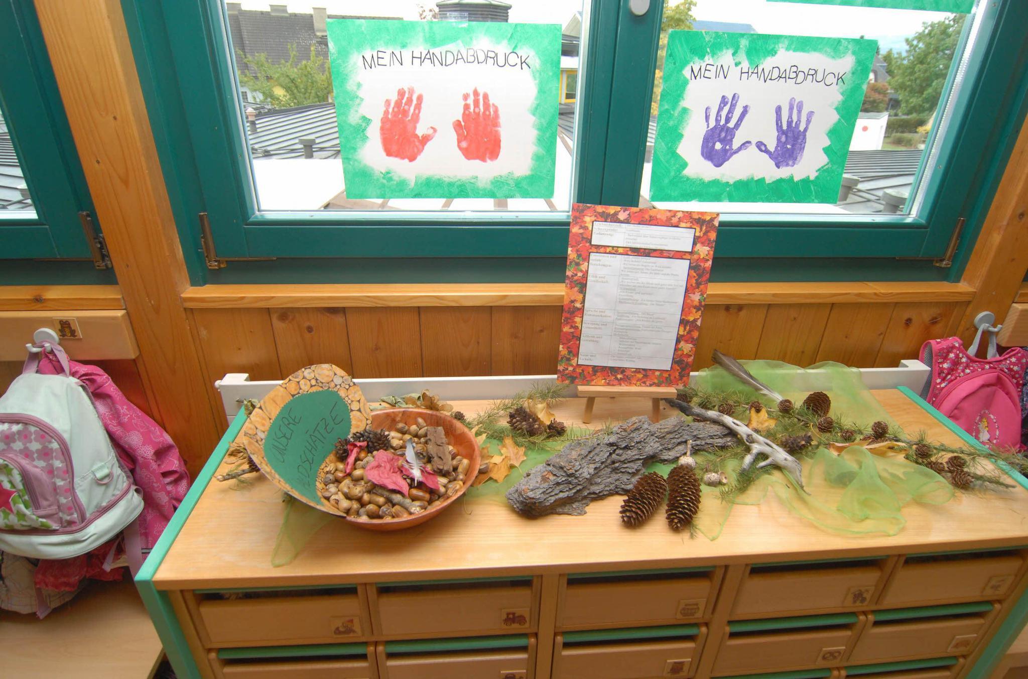 Der Wald als Thema in Kindergärten