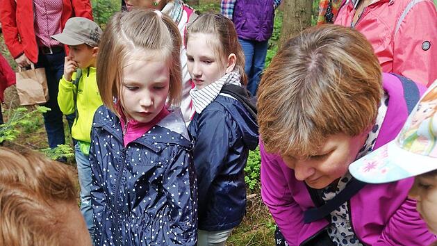 Kleine Tanntriebe fanden ihre Bewunderung. Foto: eh