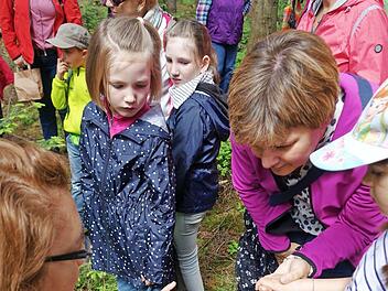 Kleine Tanntriebe fanden ihre Bewunderung. Foto: eh