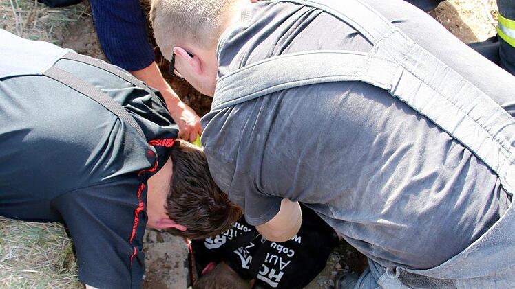 Unterstützt von vier Kollegen gelingt es Kraus schließlich die Hunde einen nach dem anderen herauszuziehen.