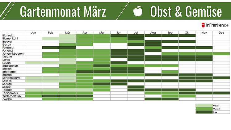 Der Obst- und Gemüsegarten im März
