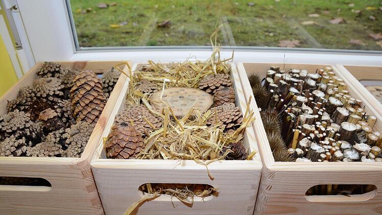 Impressionen vom Nisthilfenbau in der Melkendorfer Grundschule Dagmar Besand