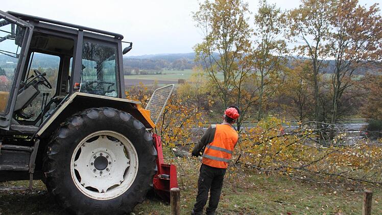 Die Bäume werden mit einer Winde von der Fahrbahn weg gezogen.