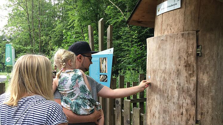 Die Familie aus München genießt die Angebote rund um den Baumwipfelpfad bei Ebrach. Eigentlich wollte man ja auf Bali sein, findet aber  hier sei es auch schön genießt die neu gewonnene Freiheit. Foto: Anette Schreiber