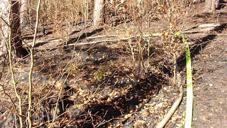 Die Feuerwehr musste am Ostermontag, 22.04.2019, vier Brände im Kreis Nürnberger Land löschen. Bei Hartenstein standen rund 5000 Quadratmeter Wald in Brand. Foto: NEWS5 / Holzheimer