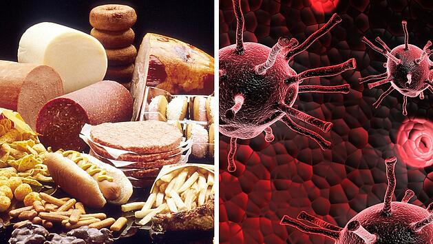 Nitrosamine in Lebensmitteln k&ouml;nnen Krebs erzeugen und DNA sch&auml;digen