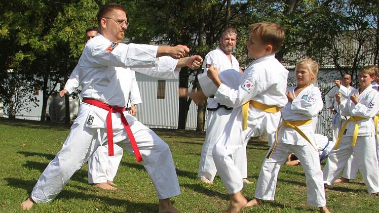 Schnelligkeit, Sprungkraft und genau ausgeführte Bewegungen zählen beim Taekwon-do mehr als Kraft. Foto: Sonja Adam