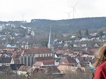 Die Bürger der Stadt sollen nicht nur den Blick auf die Windräder haben, sondern sollen sich auch finanziell am Windpark beteiligen können. Wie das Anlagemodell aussieht, hat der Betreiber jetzt vorgestellt. Foto: Heike Beudert