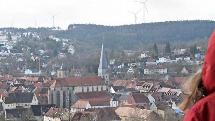 Die Bürger der Stadt sollen nicht nur den Blick auf die Windräder haben, sondern sollen sich auch finanziell am Windpark beteiligen können. Wie das Anlagemodell aussieht, hat der Betreiber jetzt vorgestellt. Foto: Heike Beudert