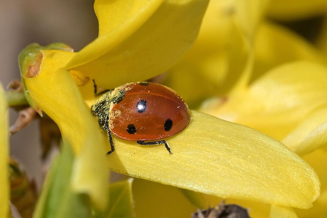 Wetter in Brandenburg