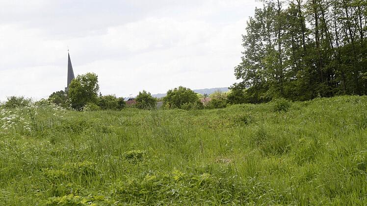 Gras ist gewachsen über die ehemalige Mülldeponie in Melkendorf. Doch weil die neue Ortsumgehung hier verläuft, muss der Unrat der Jahrzehnte ausgebuddelt werden - rund 4500 Kubikmeter.Foto: Jochen Nützel