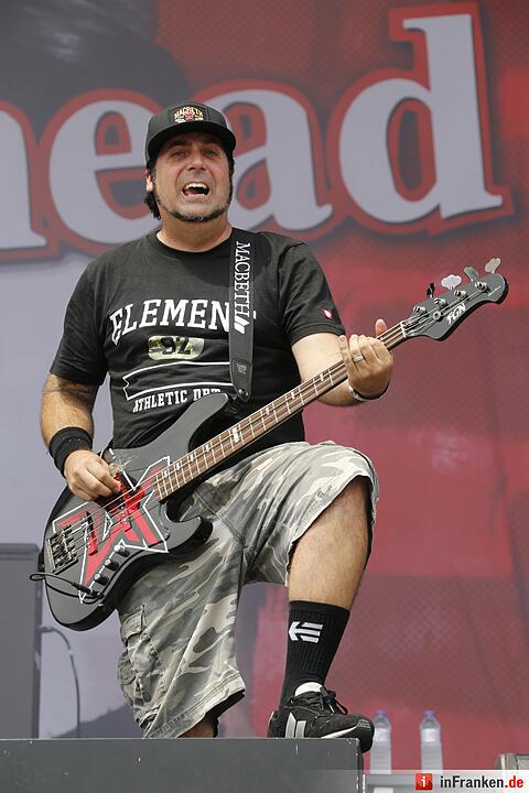 RIP15 - Zebrahead