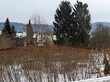 Das Bild zeigt: Links ist ein Teil des Bebauungsgebietes "Nördlich der Eichendorffsiedlung" zu sehen, rechts zwischen dem blauen und orangefarbenen Haus wird die Zu- und Abfahrt zur B 85 entstehen. Foto: K.- H. Hofmann